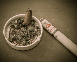 2014 05-Gman Race Cigars